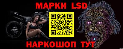 стаф Будённовск