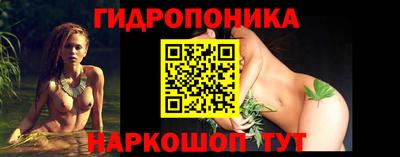 стаф Будённовск