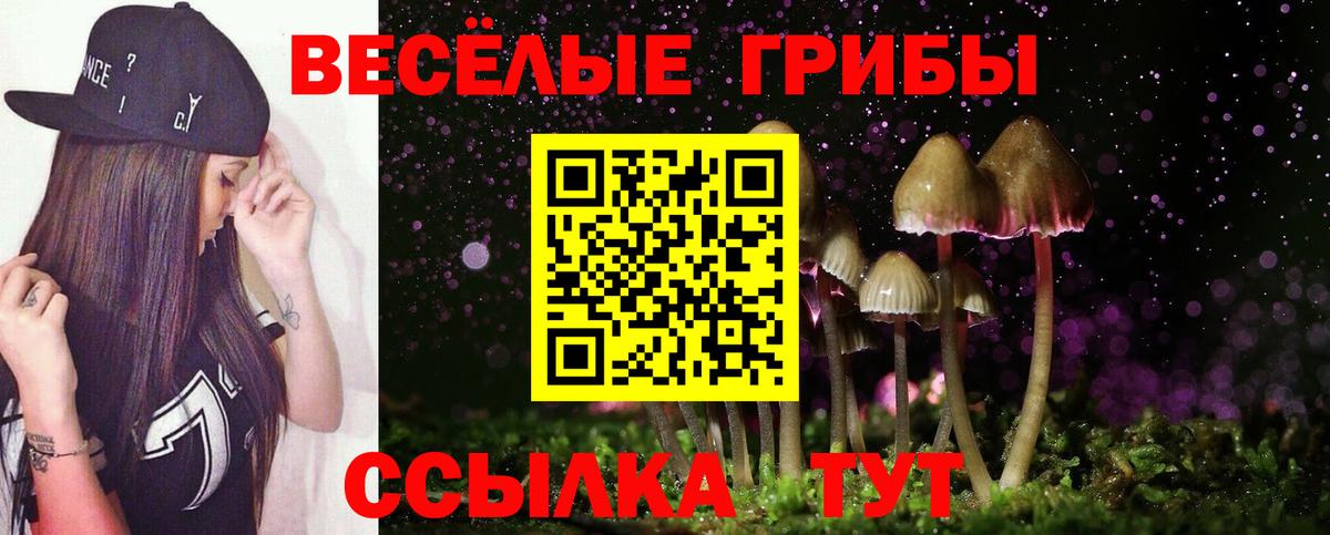 Ростов Великий  Псилоцибиновые грибы прущие грибы  Вход с VPN 